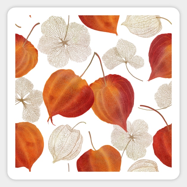 Colorful autumn Physalis flowers buds. Cape gooseberry flowers and leaves structure. Golden berry watercolor illustration. Sticker by likapix